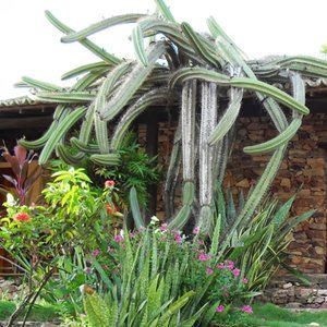 Meet your Posher, Kimanda